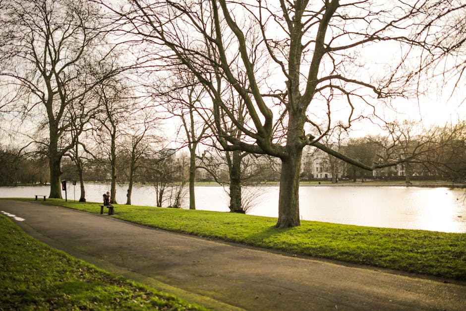 A tranquil lakeside scene featuring a paved pathway running parallel to the water, with patches of well-maintained green grass on either side. Several leafless trees with rough, textured bark and twisting branches rise along the grassy strip, their branches extending outward and slightly upward. In the foreground, a wicker basket or bag is placed on the grass, and a solitary wooden bench is positioned beside the pathway, facing the lake. The lake appears calm, with gentle reflections of the sky and surrounding trees on its surface. In the background, there are distant trees and a faint outline of buildings partly obscured by the overcast sky, which casts a soft, diffused light over the scene. The overall atmosphere is quiet and peaceful, typical of an urban park or riverside area that could be maintained through external waste management and rubbish clearance services, such as those offered by Waste Clearance Twickenham, to ensure cleanliness by removing litter or debris from public spaces.