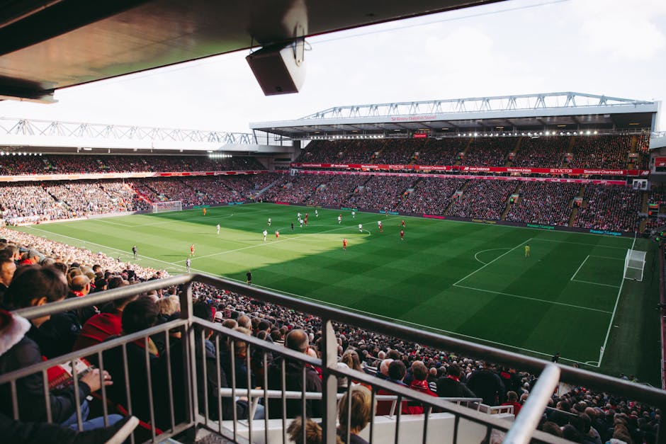 A large football stadium filled with spectators watching a match on a well-maintained grass pitch with alternating light and dark green stripes. The view is from an elevated perspective behind a metal railing in the stands, with the crowd seated on red and black seats that extend across multiple tiers. Players in white and red kits are engaged in active play on the field, with some positioned near the centre circle and others closer to the goal areas. The stadium structure features a partially covered roof supported by white beams, and additional seating sections are visible beyond the field. Bright daylight illuminates the scene, casting gentle shadows on the pitch. In the foreground, the arrangement of the crowd and the visible railing suggest an enclosed environment typical of indoor or high-quality outdoor football venues. The image aligns with the context of sports event venues requiring regular waste and rubbish removal on match days, with Waste Clearance Twickenham providing potential on-site waste management options for such large-scale events.